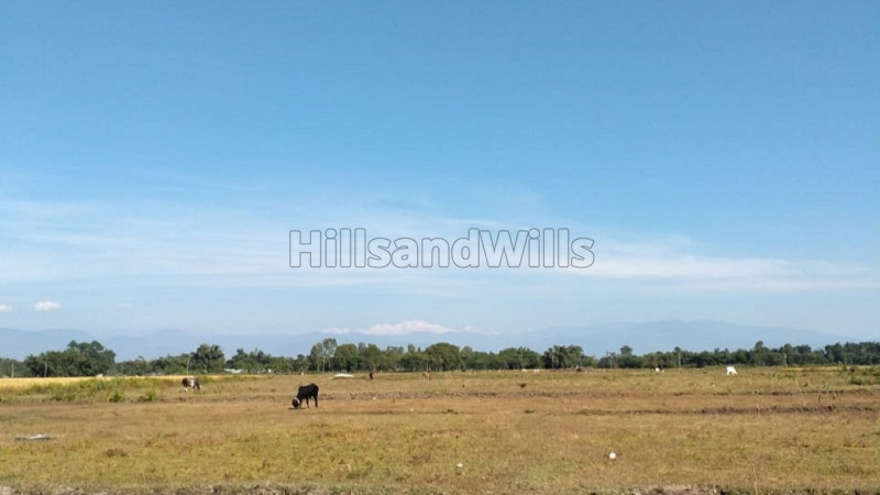 ₹8 Lac | 1 bigha agriculture land for sale in naxalbari siliguri
