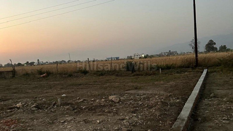 ₹2.24 Cr | 16000 sq.ft. residential plot for sale  in haldwani nainital