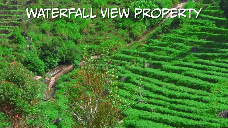 ₹1.16 Cr | 29 cents agriculture land for sale in attuvampatti kodaikanal