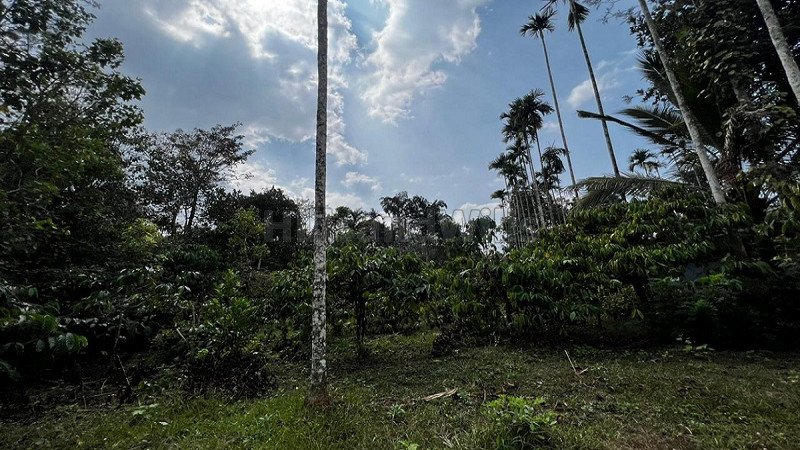 ₹25.02 Lac | 18 cents residential plot for sale  in bathery wayanad