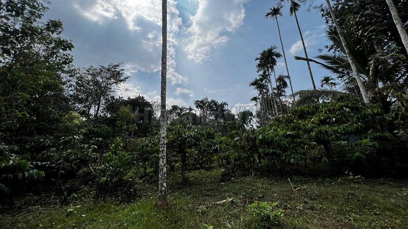 ₹25.02 Lac | 18 cents residential plot for sale in bathery wayanad