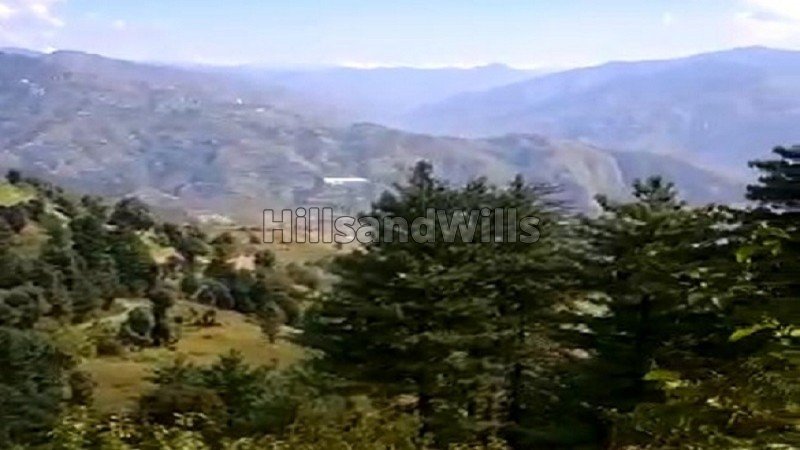 ₹80 Lac | 1.5 bigha  agriculture land suitable for apple orchard for sale  in fagu shimla