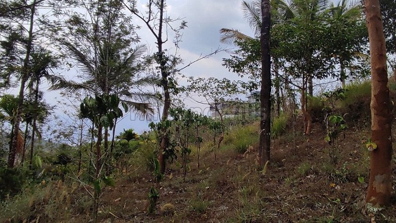 ₹1.99 Cr | 199 cents residential plot for sale  in banasura dam wayanad