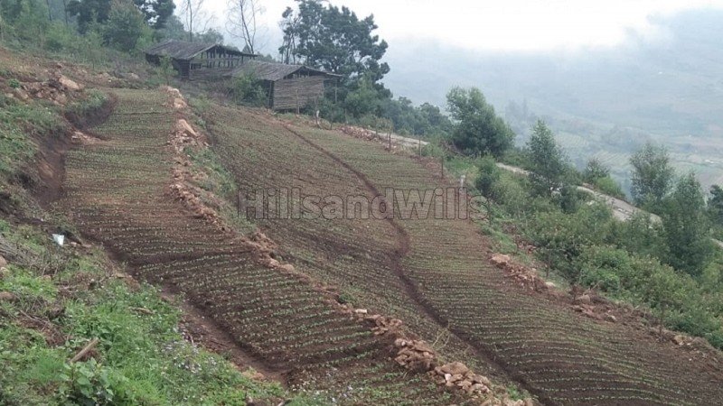 ₹50 Lac | 1bhk  european style cottage for sale  in mannavanur kodaikanal