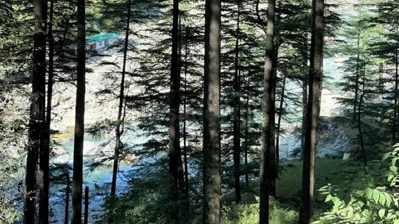 ₹3.20 Cr | 8720 sq.ft. commerical land for sale  in kasol kullu-manali