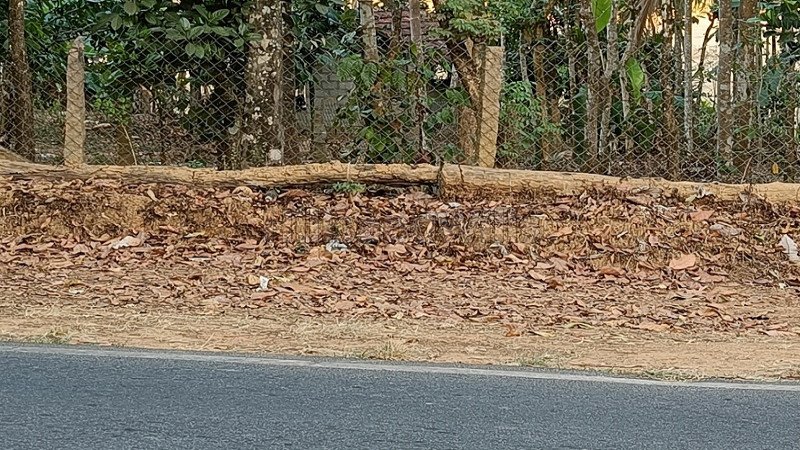 ₹35 Lac | 4356 sq.ft. residential plot for sale  in sulthan bathery wayanad