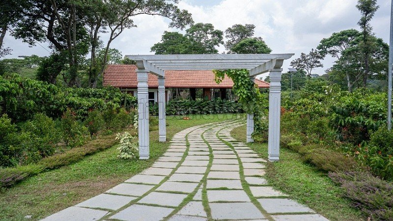 ₹36 Lac | 6000 sq.ft.  premium estate plots for sale  in virajpet coorg