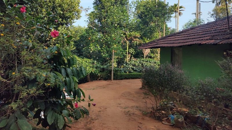 ₹30 Lac | 3bhk farm house for sale  in erumad gudalur