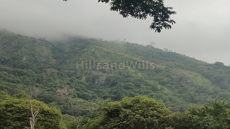 ₹1.19 Cr | 7 acres  agriculture land with waterfalls for sale  in pachalur kodaikanal