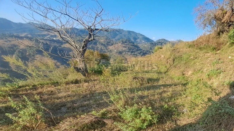 ₹8 Lac&nbsp;|&nbsp;240 gaj residential plot for sale  near kosi market, almora district uttarakhand