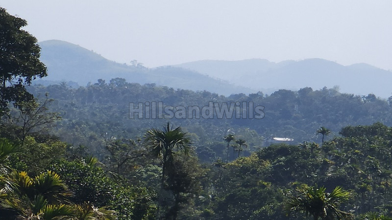 ₹25 Lac | 20 cents residential plot for sale in vaduvanchal wayanad