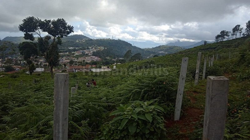 ₹66 Lac | 10000 sq.ft. residential plot for sale  in aravenu kotagiri