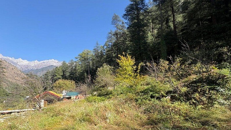 ₹2.25 Cr | 6534 sq.ft. commerical land for sale  in kasol kullu-manali