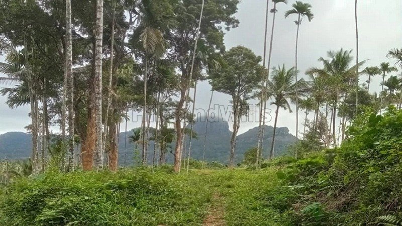 ₹87 Lac | 59241 sq.ft. residential plot for sale  in ambalavayal wayanad