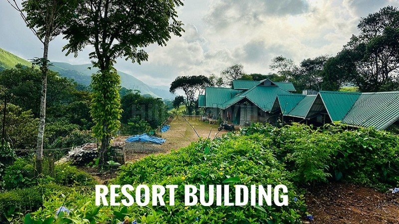 ₹11 Cr | 5.5 acres cardamom estate for sale  in sathram, vandiperiyar idukki