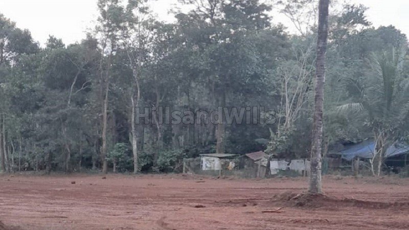 ₹1.25 Cr&nbsp;|&nbsp;1.20 acres residential plot for sale  in nadavayal wayanad