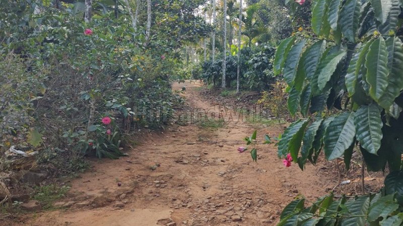 ₹30 Lac | 3bhk farm house for sale  in erumad gudalur