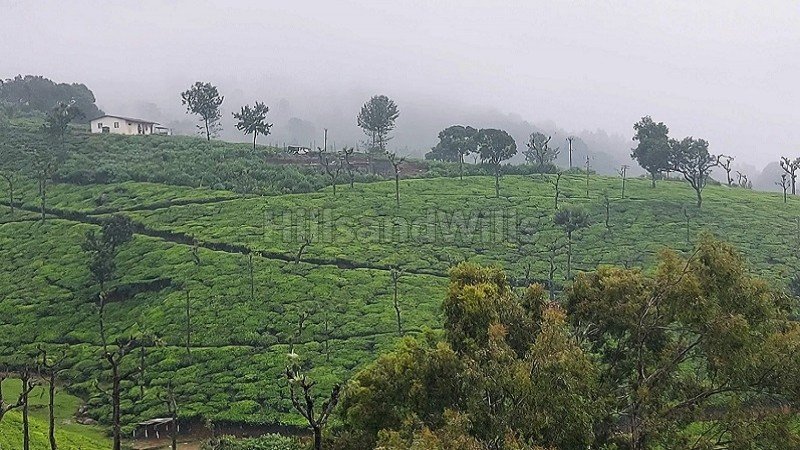 ₹1.12 Cr | 25 cents residential plot for sale  in hulical coonoor
