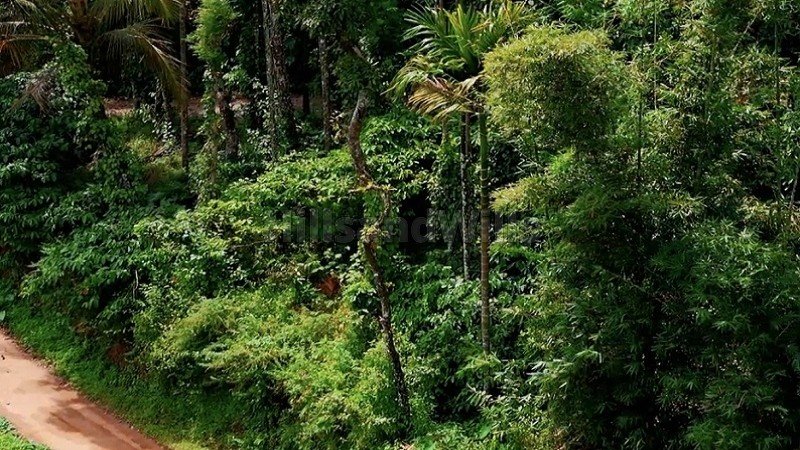 ₹1.10 Cr | 85 cents residential plot for sale  in manthavady wayanad