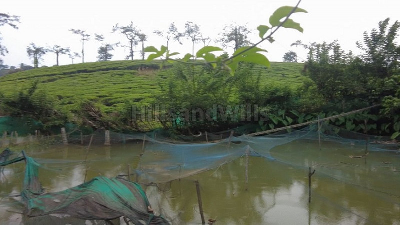 ₹2.40 Cr | 2 acres residential plot for sale in meppadi wayanad
