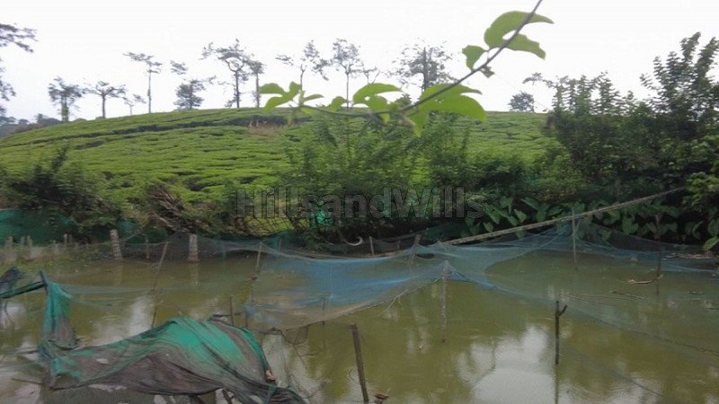 ₹2.40 Cr | 2 acres residential plot for sale  in meppadi wayanad
