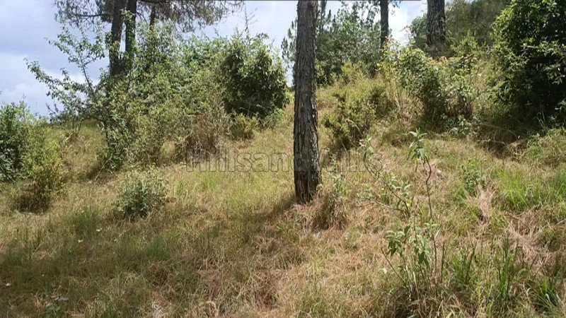 ₹1.20 Cr | 3 bigha commercial land  for sale in shoghi shimla