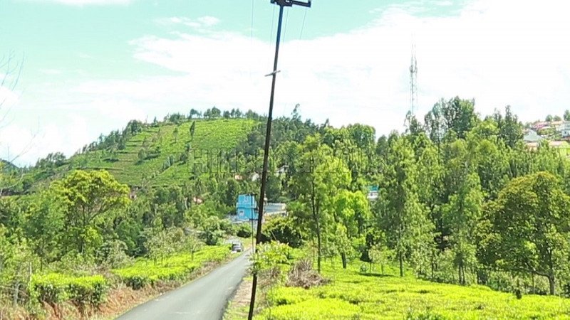 2.8 acres agriculture land for sale in dhenallai ooty