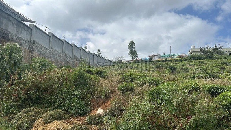 ₹75 Lac | 24 cents residential plot for sale  in kattabettu kotagiri