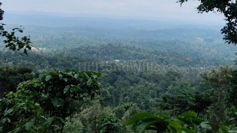 ₹65 Lac | 1.75 acres agriculture land for sale  in mudigere chikmagalur