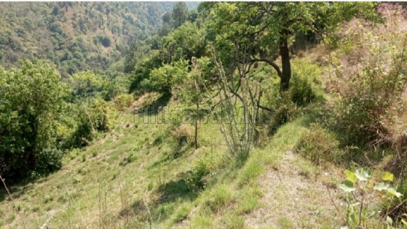 ₹84 Lac | 28 biswa residential plot for sale in shoghi hills shimla