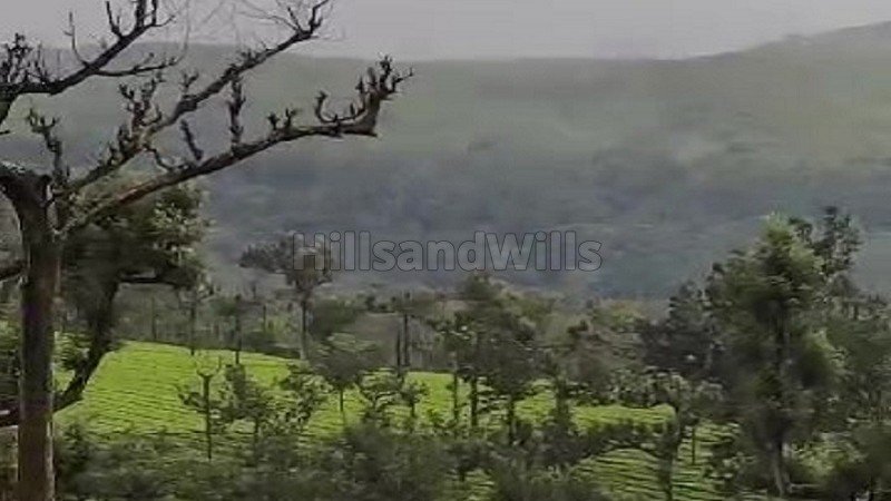 ₹4.95 Cr | 5.5 acres commerical land for sale  in poopara munnar