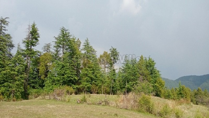 ₹15 Cr | 23 bigha commerical land for sale  in shimla