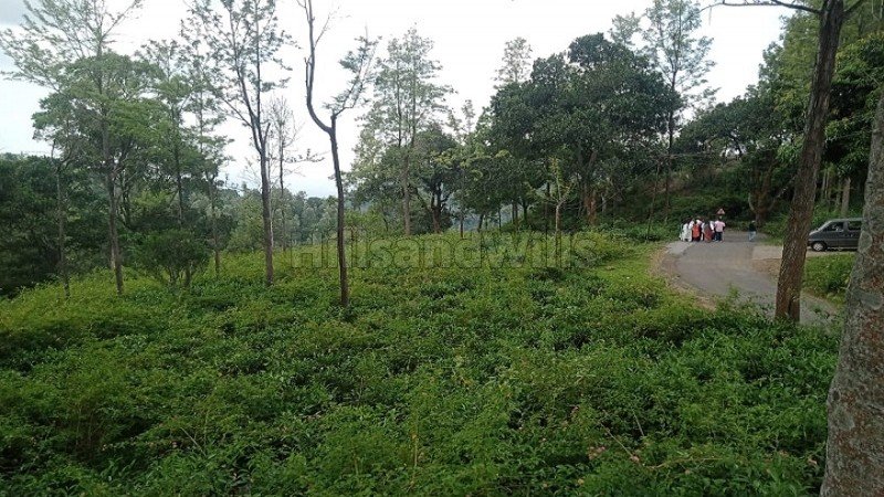₹78.75 Cr | 525 acres tea & coffee estate with sandal wood trees for sale  in kotagiri