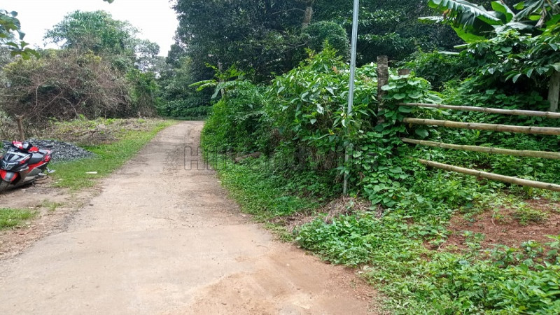 ₹2.36 Cr | 10.5 acres Agriculture Land For Sale in Napoklu Coorg