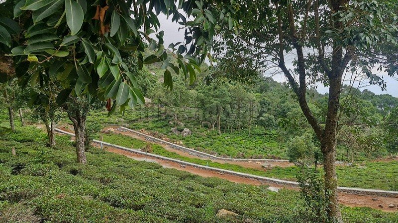 ₹42 Lac - 55 Lac | 9150 sq.ft. - 12000 sq.ft.  gated community residential plots for sale  in aravenu kotagiri