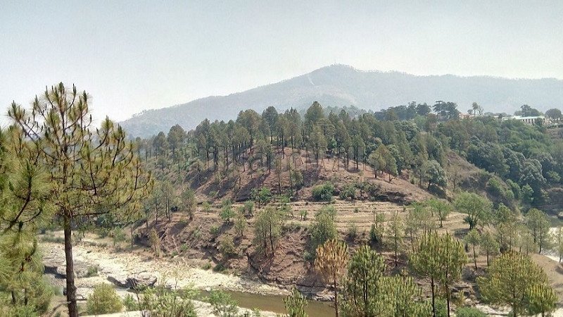 ₹1.20 Cr | 8 nali commerical land for sale  in kosi almora near nainital