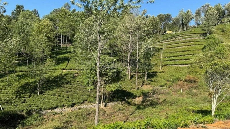 ₹3.50 Cr | 1 acres agriculture land for sale  in kotagiri