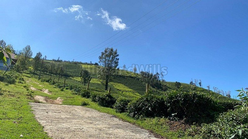 ₹3.50 Cr | 100 cents tea estate for sale  in kallakorai ooty