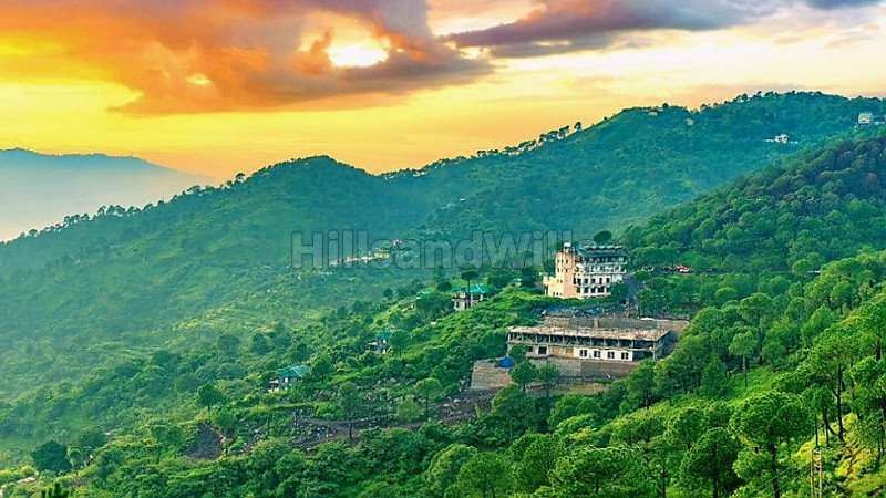 ₹65 Lac | 1bhk apartment for sale  in kasauli solan