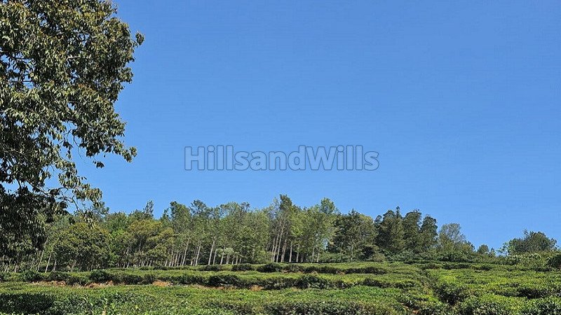 ₹30 Lac | 10 cents agriculture land for sale  in kannerimukku kotagiri