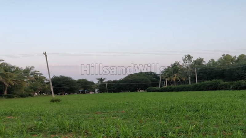 ₹1.60 Cr | 7.05 acres Agriculture Land For Sale in Brahmasamudra Chikmagalur