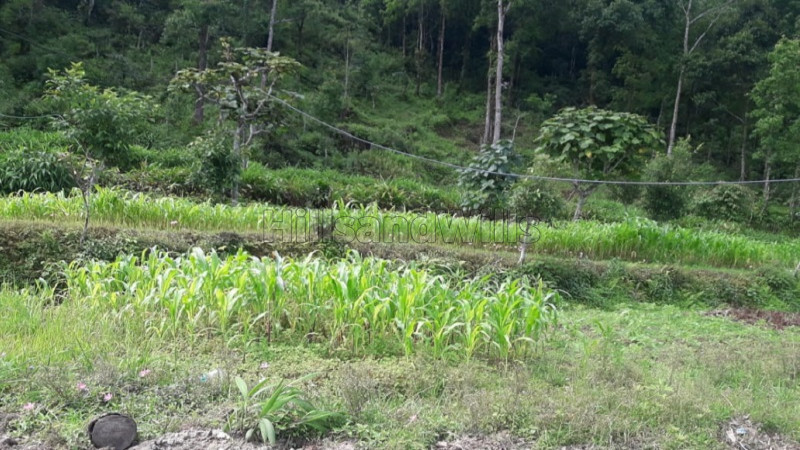 ₹1.60 Cr | 1 acres commercial land  for sale in sinji kalimpong darjeeling