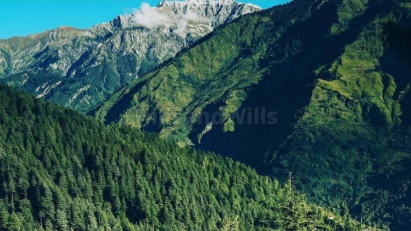 ₹2 Lac | 4bhk cottage for lease  in fozal valley kullu-manali