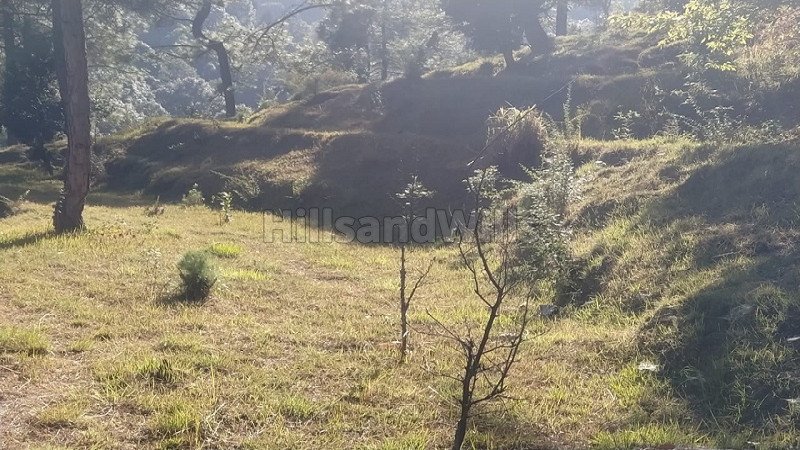 ₹1.30 Cr | 10 nali commerical land for sale  in kausani uttarakhand