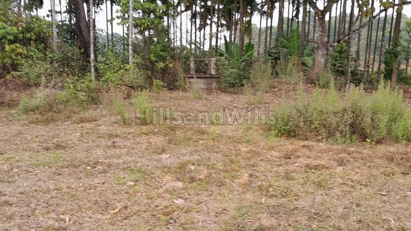 ₹60 Lac | 13066 sq.ft. residential plot for sale in napoklu coorg