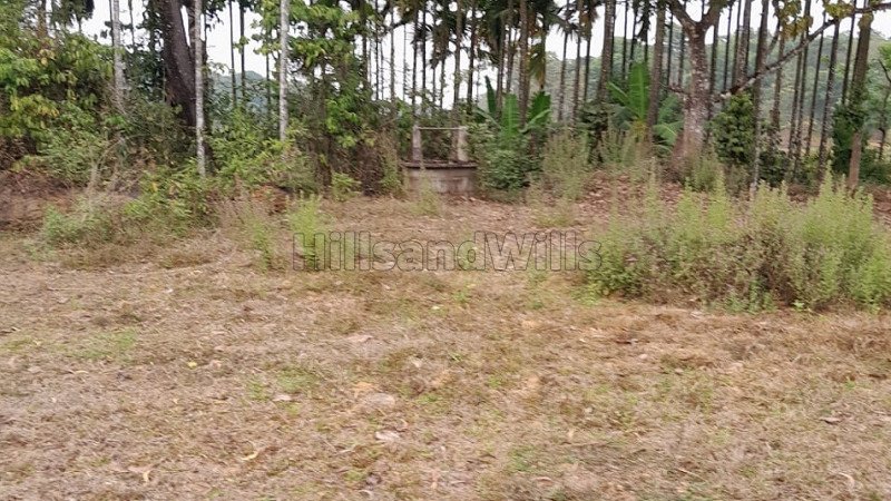 ₹60 Lac | 13066 sq.ft. residential plot for sale  in napoklu coorg
