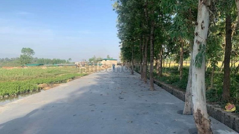 ₹19 Lac | 150 gaj residential plot for sale  in shisham wada dehradun