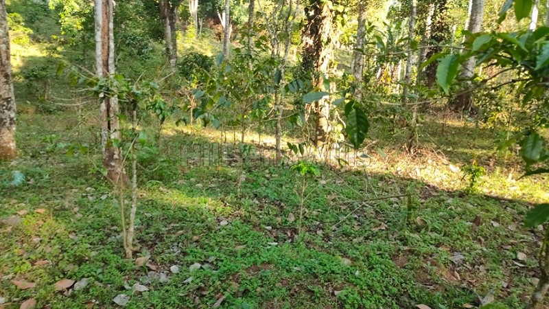 ₹75 Lac | 2.5 acres agriculture land for sale in pachalur kodaikanal