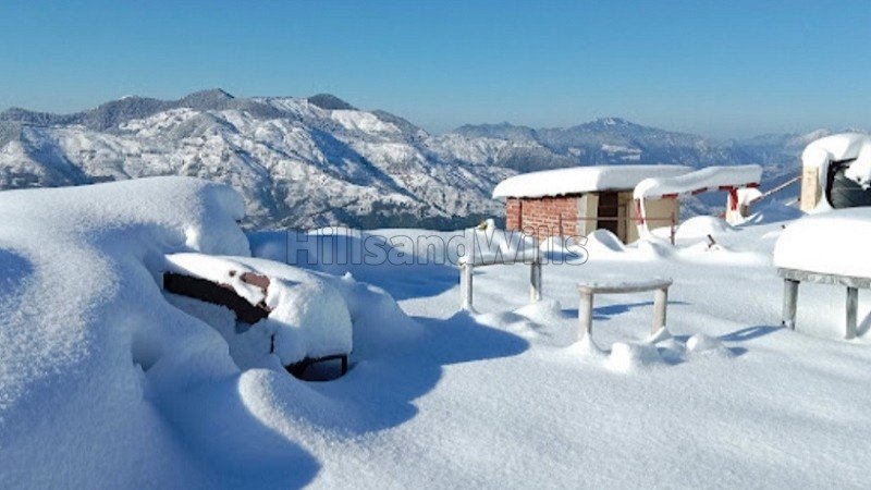 ₹95.95 Lac | 101 nali  himalayan view land for sale  in mukteshwar nainital