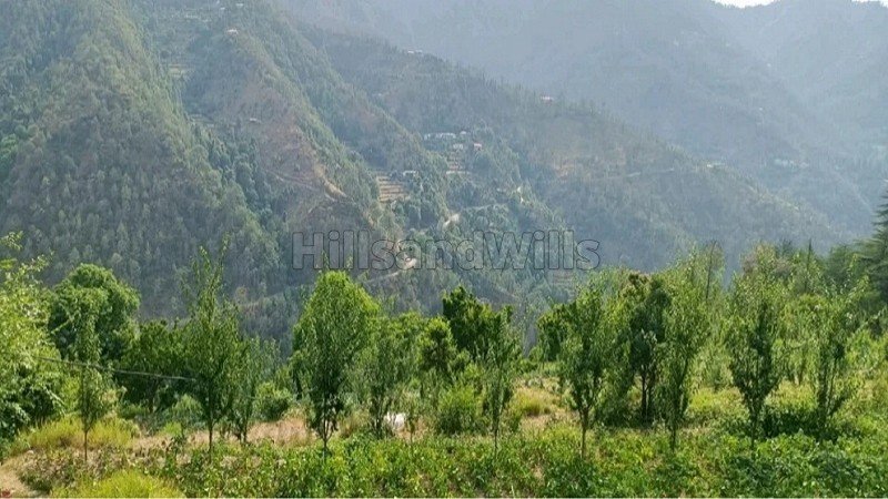 ₹7.50 Lac&nbsp;|&nbsp;10 bigha agriculture land for lease  in mashobra shimla